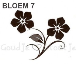 bloem 7 site